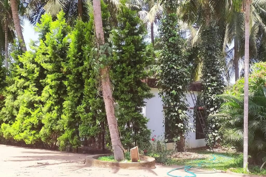 Runnin Airport - Homestay Gurpur Εξωτερικό φωτογραφία